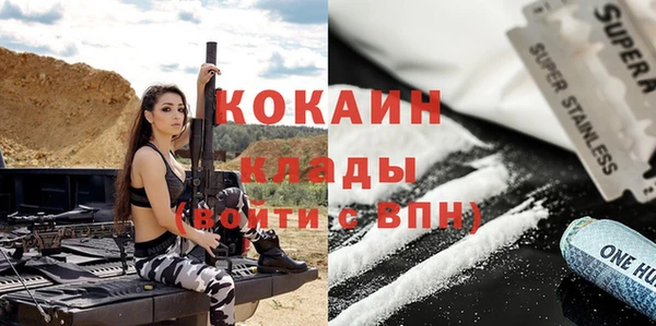 хмурый Покачи