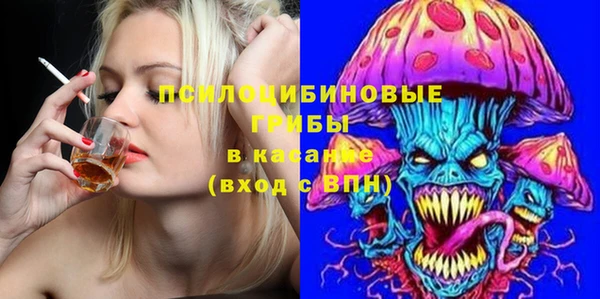 хмурый Покачи
