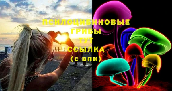 spice Воткинск