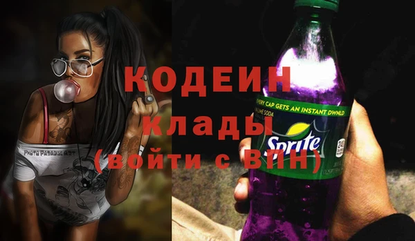 хмурый Покачи
